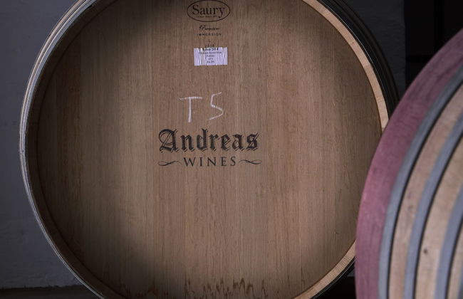 Andreas Country House - Photo 30