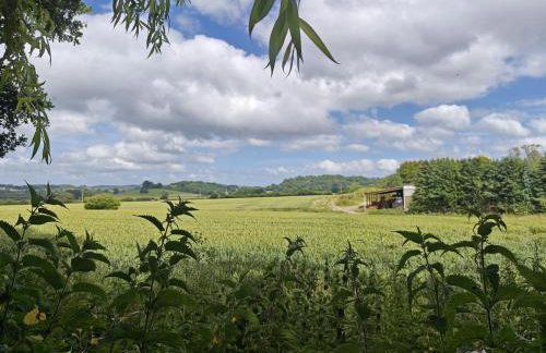 King Arthur's Rest House, Hot Tub & Garden Sleeps 10 - Foto 28