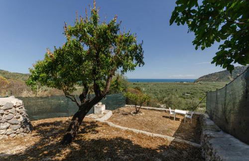 Pagliaio Tipico nello Junno - Foto 16