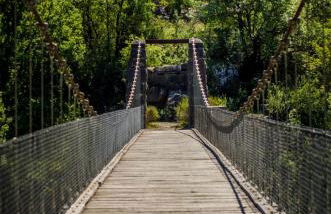 Borda Fuertes - Photo 41