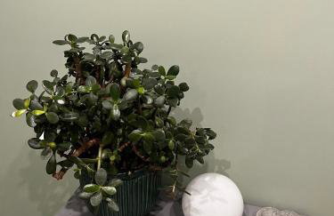 Śpimy u Dziadków - APARTAMENTY BIESZCZADY - Foto 16