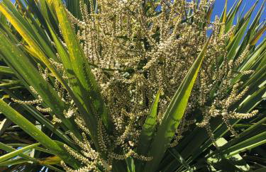 Lynwood House Self Contained Studio - Photo 8