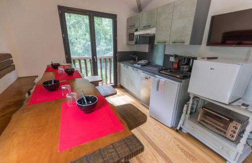 La maison de grand-pere, appt cote lac - Foto 10