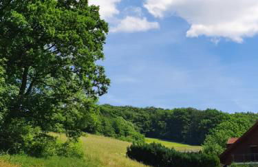 Odenwald-Lodge mit Infrarotsauna und E-Ladestation "Haus Purpur" - Foto 24