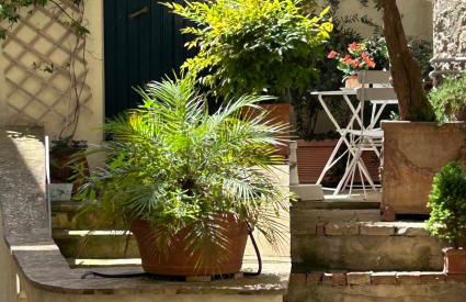 Il balconcino di Riamori - Foto 1