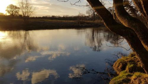 Otter Lodge - Foto 4