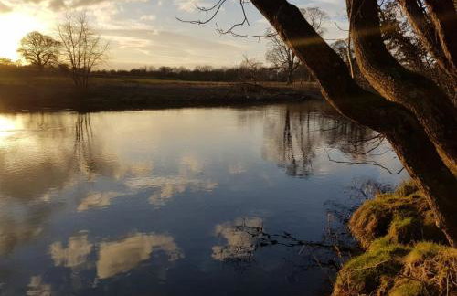 Otter Lodge - Photo 4