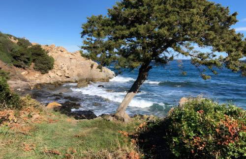 Agata verde con terrazza e giardino - Foto 23