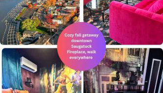 Moody Upscale Downtown Saugatuck Getaway - Foto 2, Other