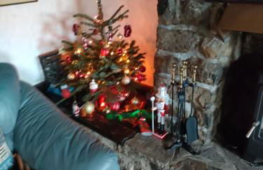 Fishermen's cottage with log burner, 2 bathrooms & sea views from garden terraces - Foto 10