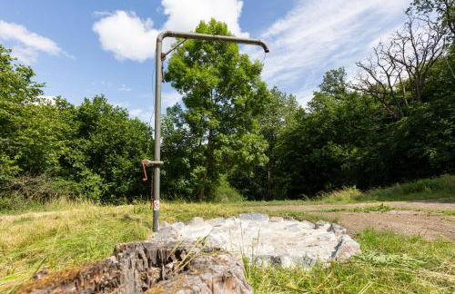 Waldhaus Nitztal - Foto 4