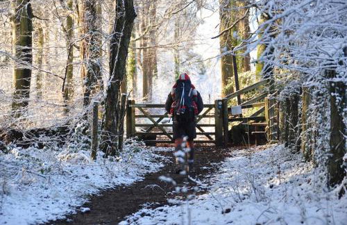 Donkey Shed - Foto 11