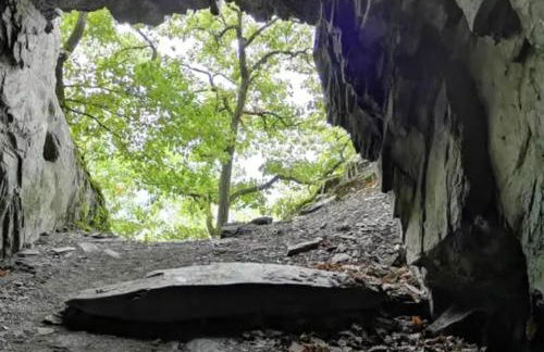 Ferienwohnung Am Reitersgäßchen - Foto 21