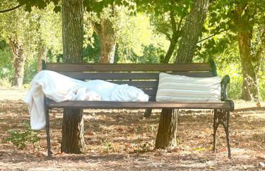 Casa da nascente douro - Foto 31