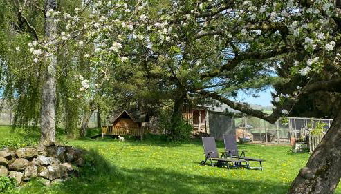 Ferienhof Heufelder Hof - Foto 3, Garden, Garden view