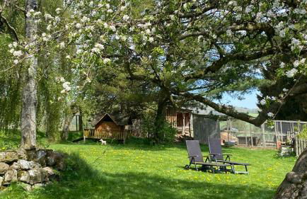 Ferienhof Heufelder Hof - Foto 3