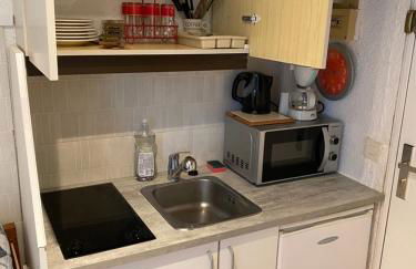 Studio Les Marmottes Bleues PRALOUP 1500 - Foto 15