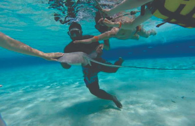 Paseo en barco con fondo de cristal - Foto 5
