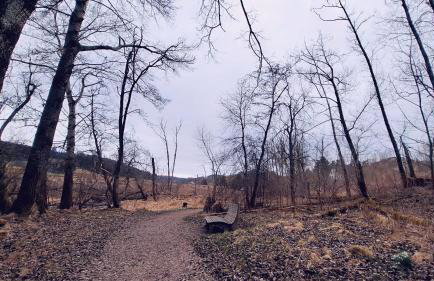 Blackjulie Ferienwohnung im Schwarzwald mit Balkon und Parkplatz ruhig - Foto 24