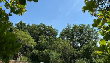 Maison en pierre cosy avec piscine privé - Foto 2