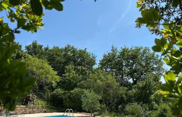 Maison en pierre cosy avec piscine privé - Foto 2