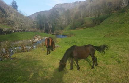 CASA MUNIELLOS - Foto 28