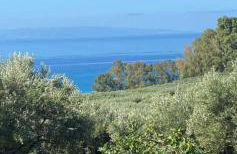 Agriturismo Parco degli Ulivi - Photo 5