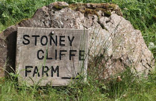 Stoney Cliffe Farm - Photo 41