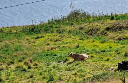 Eden Sun - A Modern Luxury Villa with a Panoramic View - Foto 42