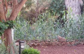 Casa Clotilde - Foto 27