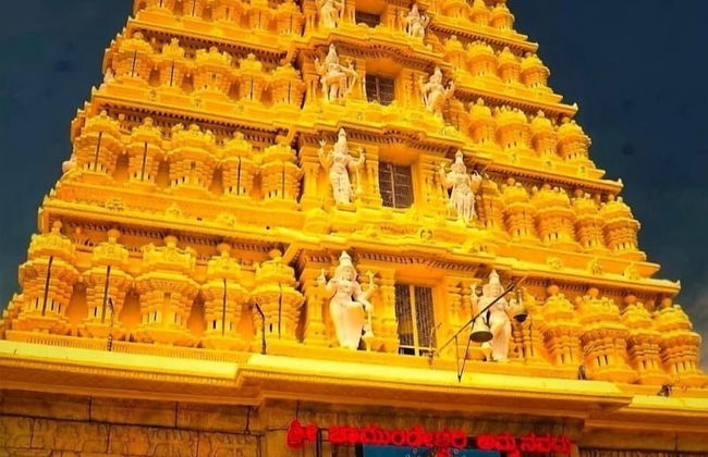 Royal Tusker Luxury Service Apartments - Foto 44