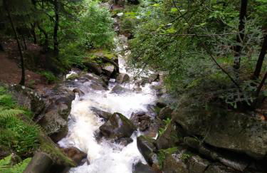 Ferienwohnung GABI - Foto 46