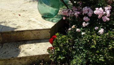 Grazioso appartamento alle porte del chianti - Foto 2