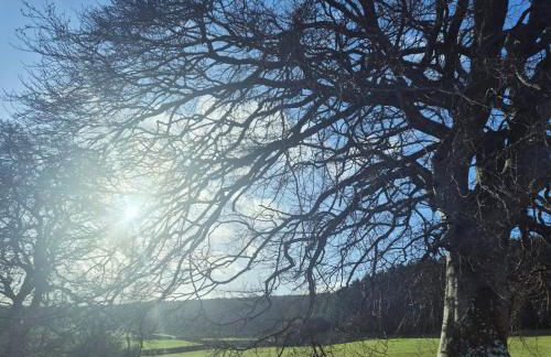 Gorgeous boutique off-grid cottage near Peebles - Foto 75