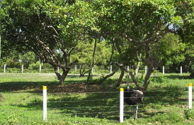 Hotel Fazenda Recanto - Foto 19