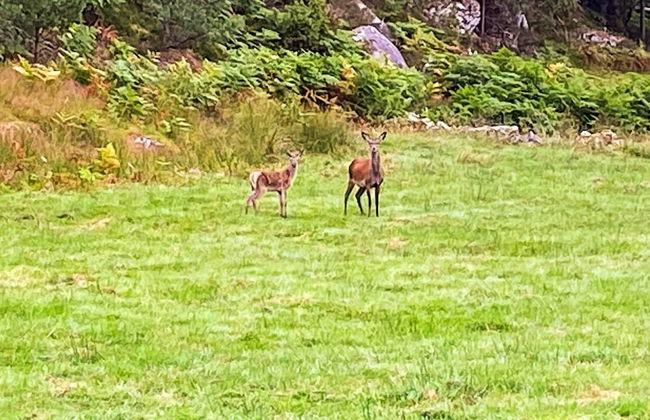 4 Person Holiday Home in Reksteren-by Traum - Foto 13