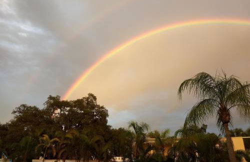 Venice Beach Villas - Photo 48