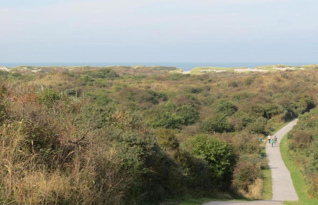 Studio in Domburg Near Beach and Golf - Photo 33