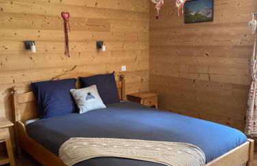 T2 vue sur le parc de la vanoise - Foto 1