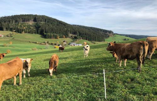 Ferienwohnung am Schneeberg - Foto 34