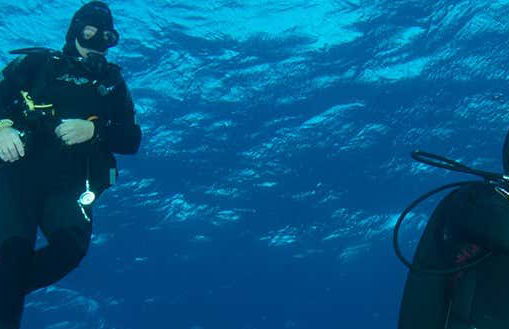 Scuba Diving in Mirissa - Foto 1