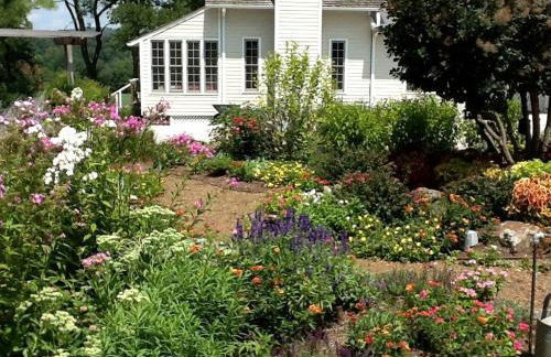 Secluded Country Cabin Rental with Beautiful Garden Space near Fayetteville, Arkansas - Foto 1