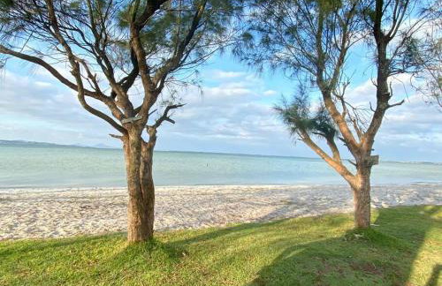 Pé na areia, água de coco, mar! - Foto 55