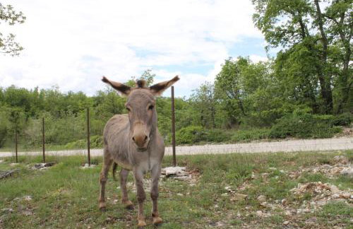 Apartments Mestri - Foto 44