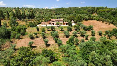 L'oasi delle volpi - Foto 3