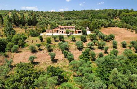 L'oasi delle volpi - Foto 3