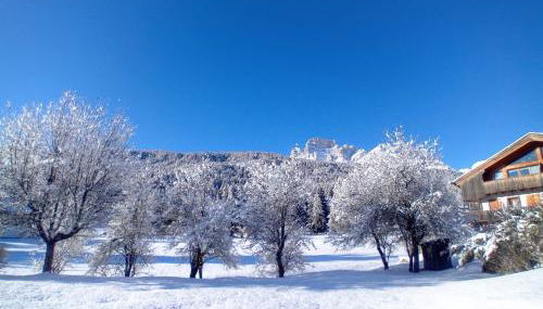 Dolomiti Garden Flat near Cortina - Foto 2, Garden