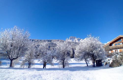 Dolomiti Garden Flat near Cortina - Photo 2