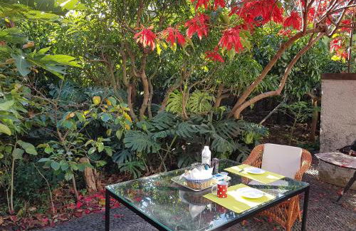 Casa da Madalena do Mar - Foto 30