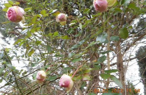 Le Gite de Lili - Foto 25